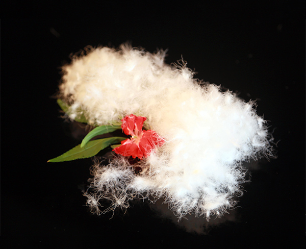 羽绒服漏绒怎么办？羽绒服厂家在生产前杜绝