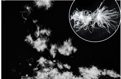 羽绒厂家：哪些原因会影响羽绒保暖？