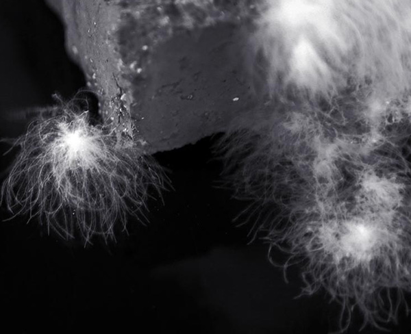 羽绒厂家：如何选购羽绒服装呢？